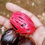 WhatsApp Image 2025-10-14 at 9.22.12 AM(1)