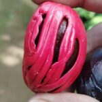 WhatsApp Image 2025-10-14 at 9.22.13 AM