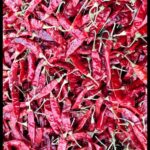 WhatsApp Image 2025-10-14 at 9.22.14 AM