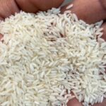 WhatsApp Image 2025-10-14 at 9.22.14 AM(2)