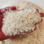 WhatsApp Image 2025-10-16 at 5.50.25 PM